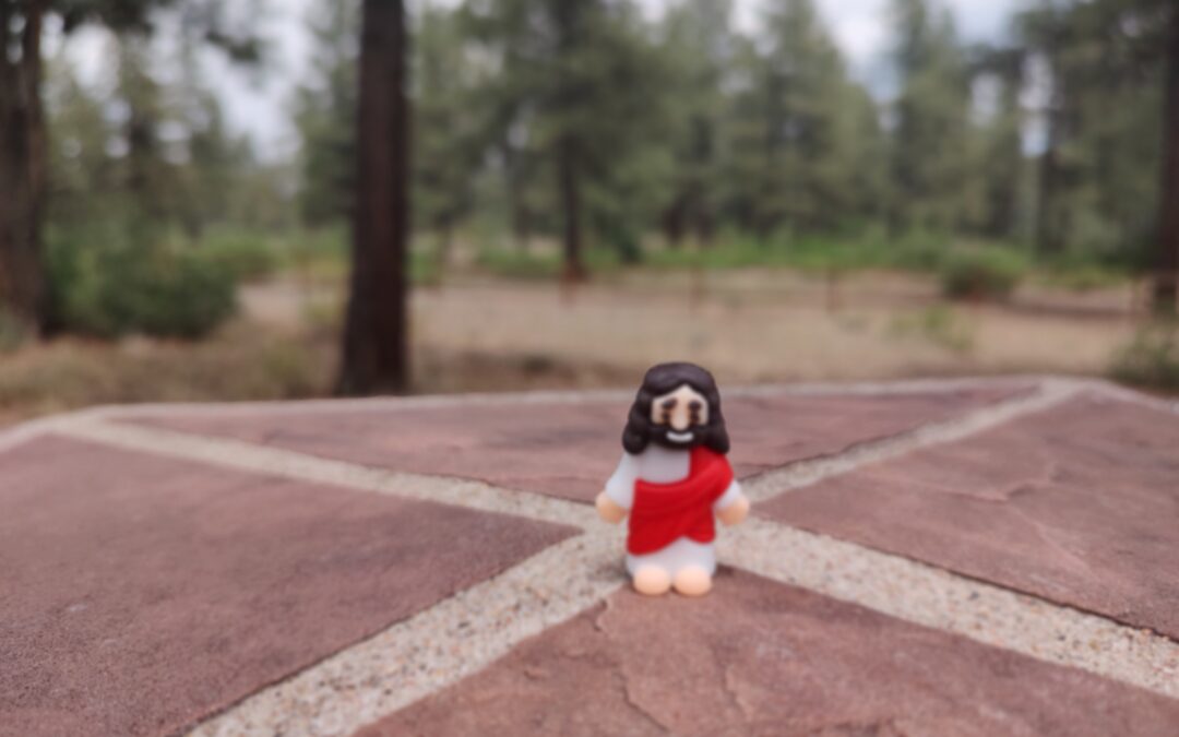 Yokes, Sunny Side Up